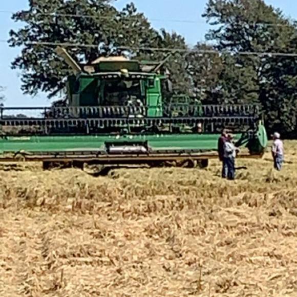 Meet your Posher, Tony - Picture 1 of 1